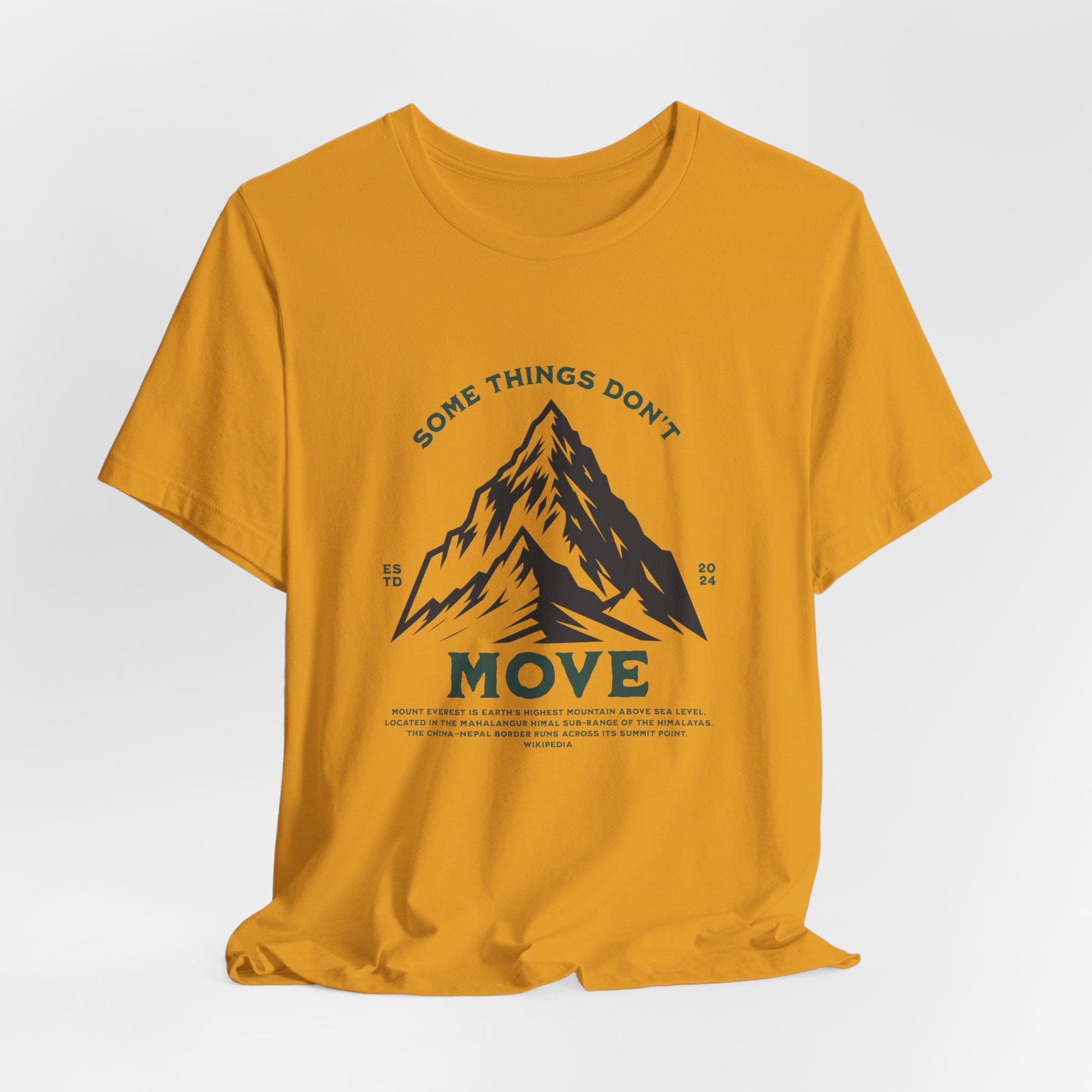 Some things don't move | Men's Motivational Graphic Stillpoint mountain T-Shirt