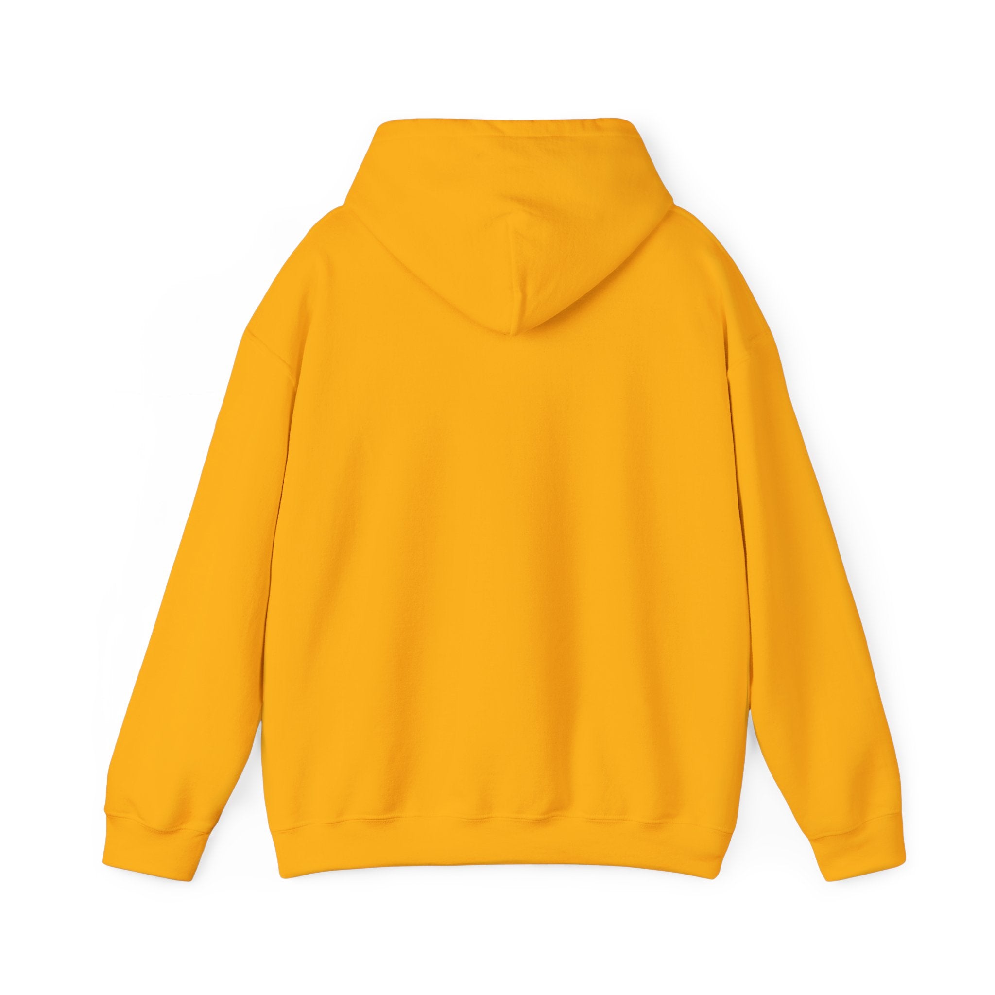 Somewhere in the noise you found something better | Women's Motivational Hoodie