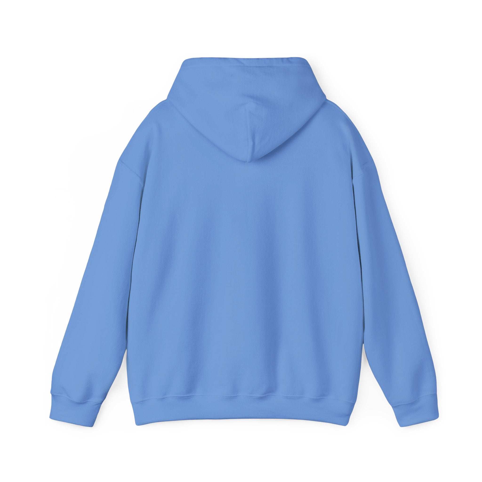 Somewhere in the noise you found something better | Women's Motivational Hoodie
