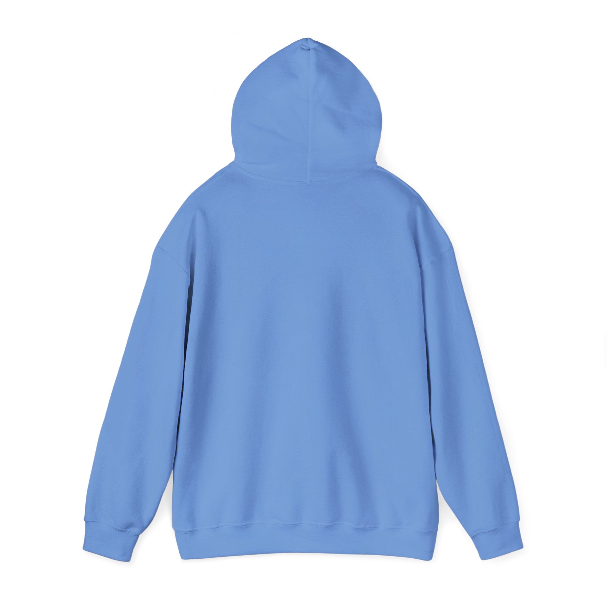 Somewhere in the noise you found something better | Women's Motivational Hoodie