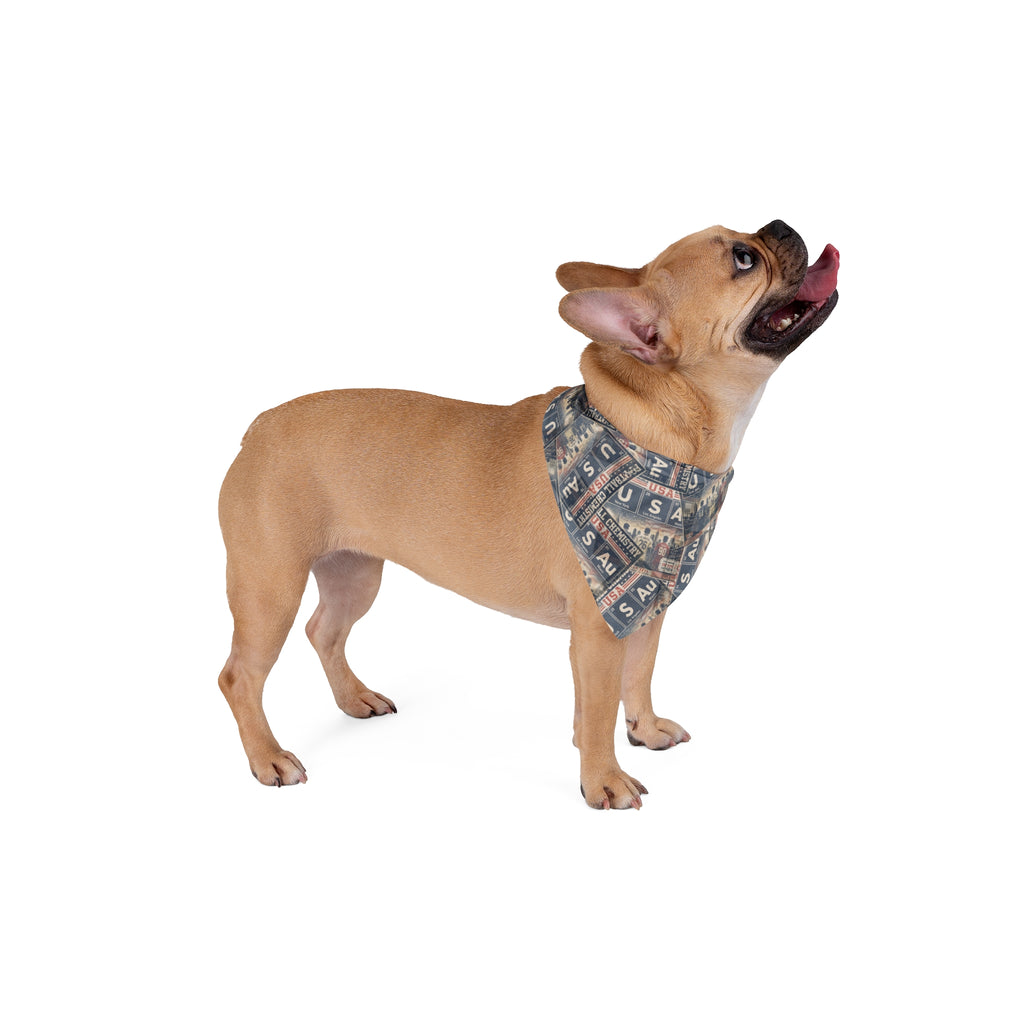 USA Football Pet Bandana | Editorial Classic Edition