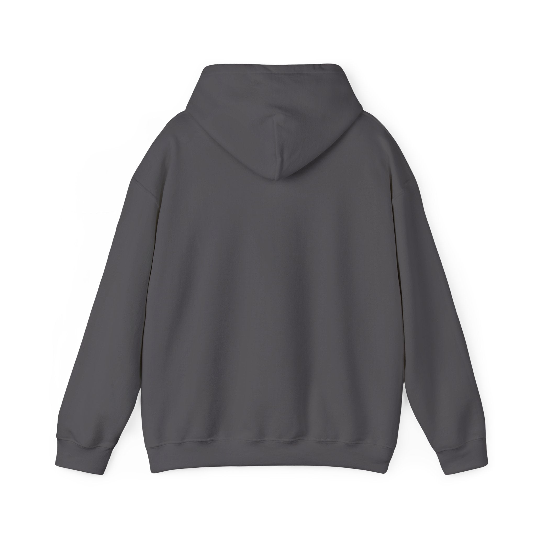 Structure Is Beautiful | Women's Motivational Graphic stacked circles Hoodie