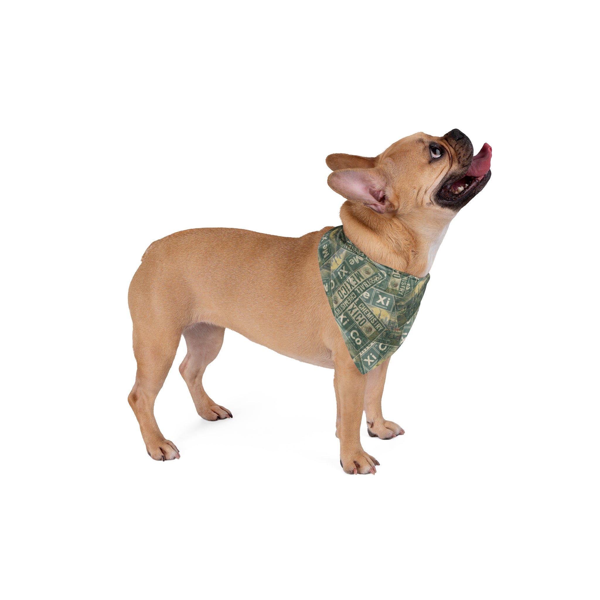 Mexico Football Pet Bandana | Editorial Classic Edition
