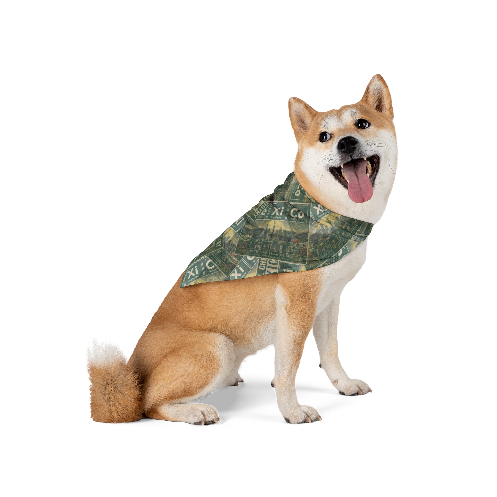 Mexico Football Pet Bandana | Editorial Classic Edition