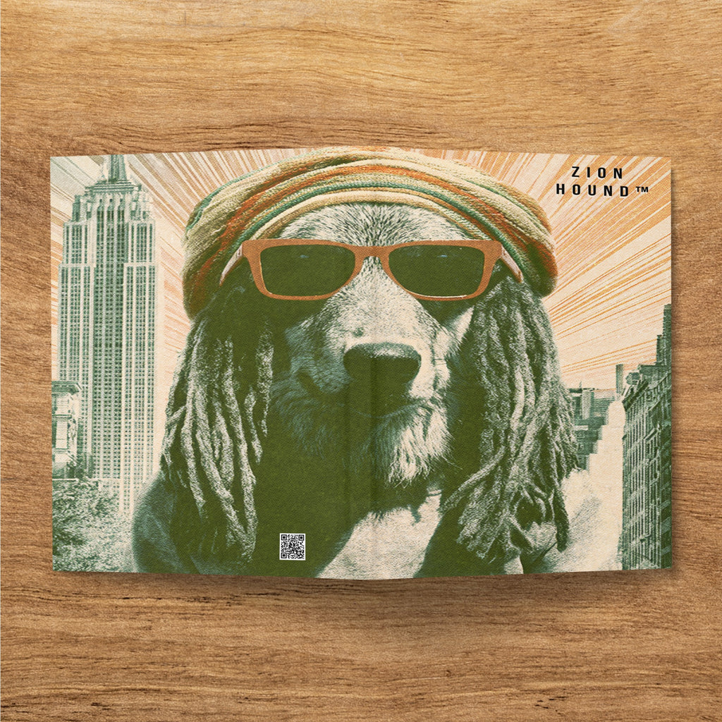 Dog wearing sunglasses and headwrap with city skyline background.